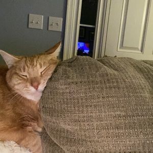 Meet your Posher, Evan